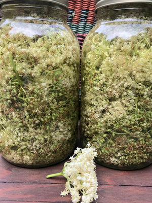 Elderflower Facial Oil